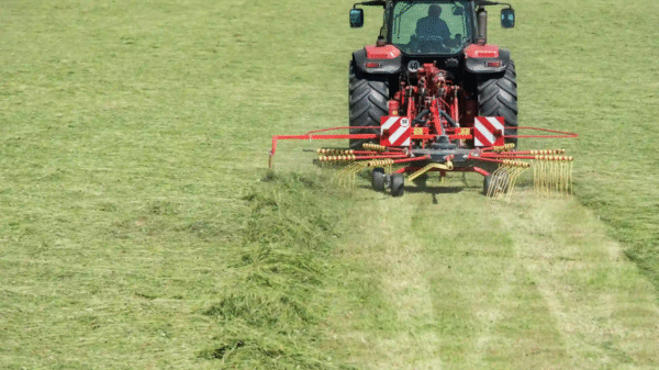 Grėbliai vieno rotoriaus – Rozmital SB