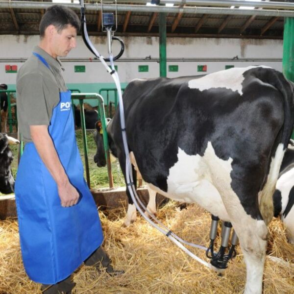 Pieno - vakuumo linijos