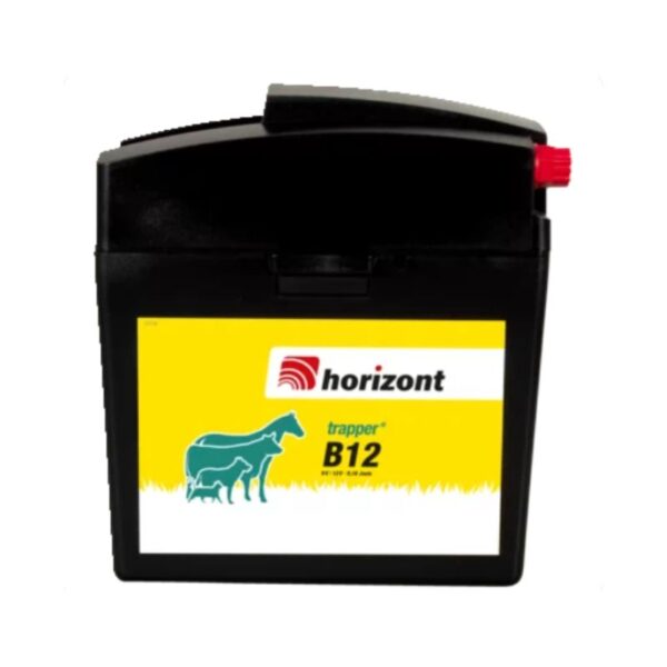 Generatorius Trapper B12