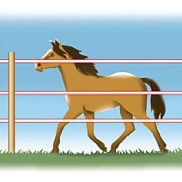 El. aptvarų tvėrimo rekomendacijos pagal gyvūnų rūšis