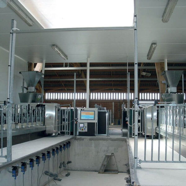 Robotizuotas avių / ožkų šėrimas