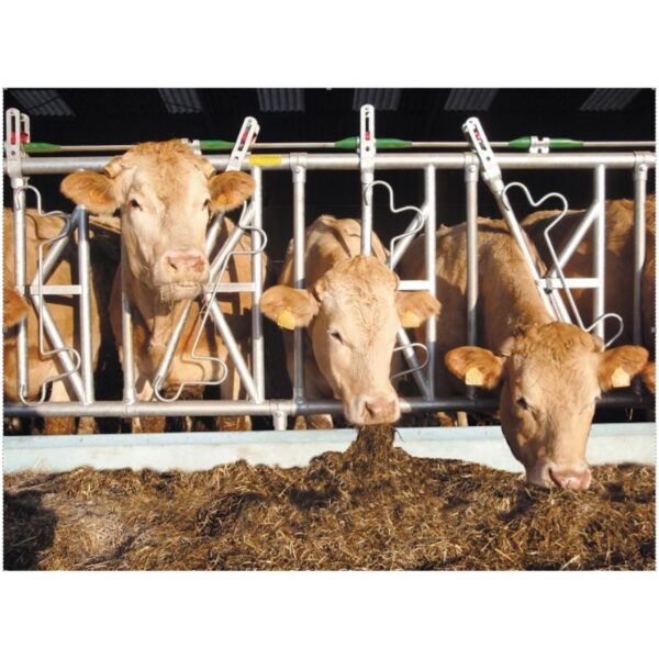 Fiksacinės šėrimo tako grotos