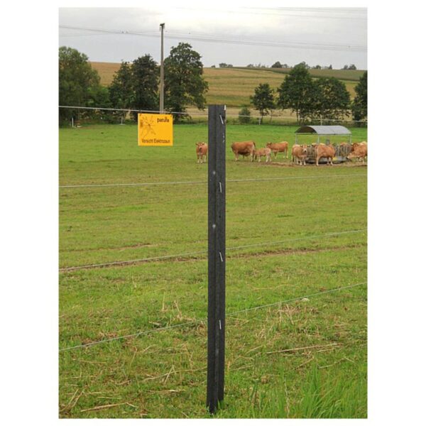 Kuolas X profilio 215065