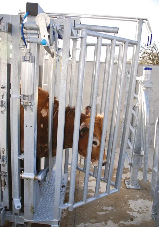 Pneumatinis galvos fiksavimo įrenginys su sugavimo vartais - Image 2