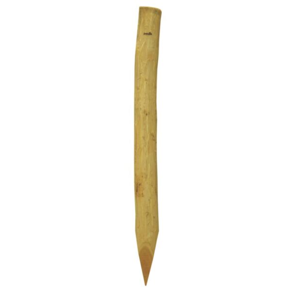 Mediniai kuolai Patura