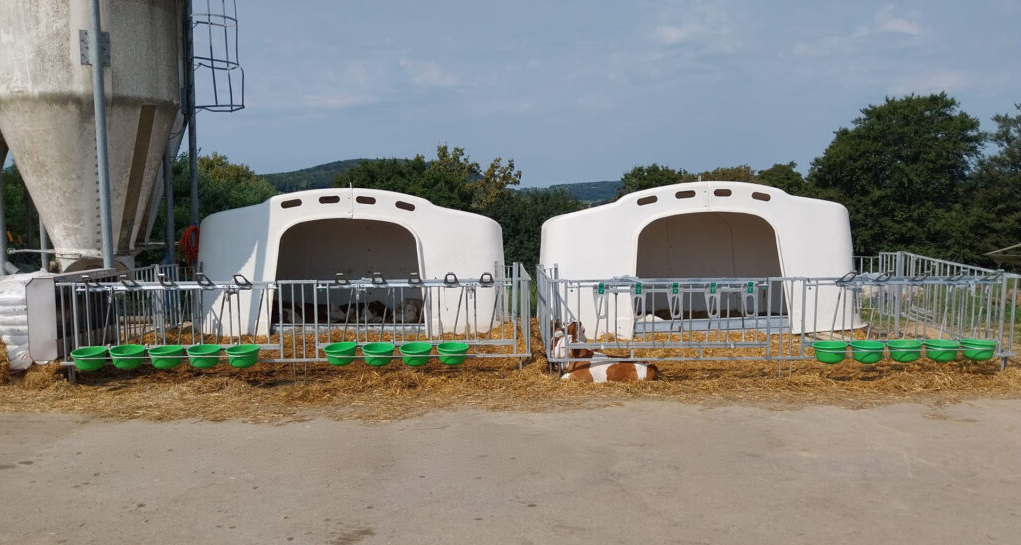 Grupinis veršelių namelis XL-5/XL-10 - Image 3