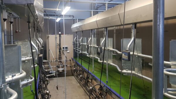 Melžimo aikštelės