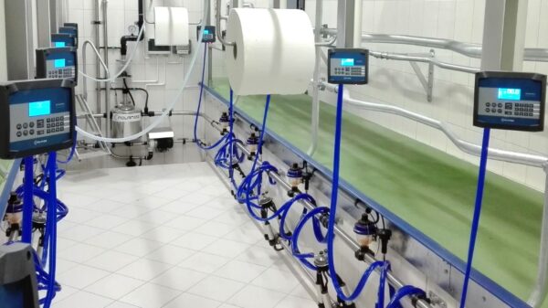 Karvių melžimo sistema "In one"