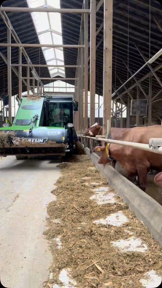 Savaeigis pašarų maišytuvas-dalytuvas @faresin.mixerwagons PF2 keliauja po Lietuvos ūkius 🧭🥗🐄🐄🐄 Šiandien demonstruojame šio Faresin maišytuvo-dalytuvo privalumus Daukniūnų ŽŪB 🤝